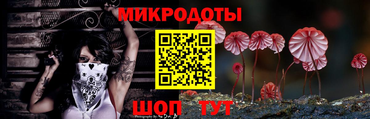 Галлюциногенные грибы Psilocybine cubensis Камень-на-Оби