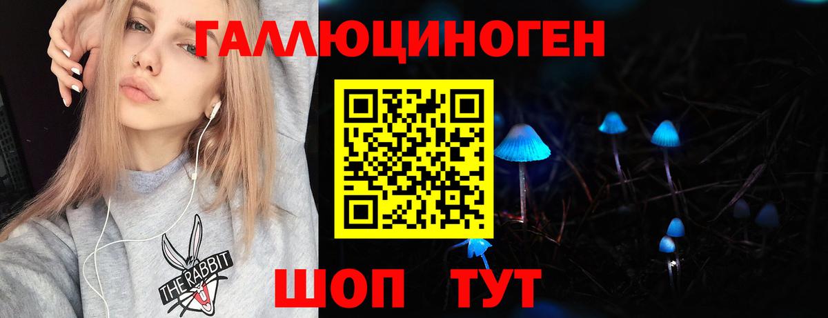 Камень-на-Оби  Псилоцибиновые грибы мицелий  Вход с VPN  продажа наркотиков  Галлюциногенные грибы прущие грибы 